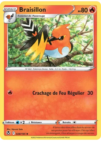 Braisillon #028/195 — Tempête Argentée