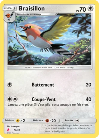 Braisillon #13 — SM Kit du dresseur (Lougaroc)