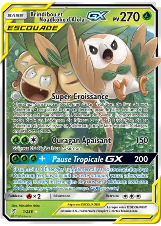 Brindibou et Noadkoko d’Alola GX #1 — Harmonie des Esprits