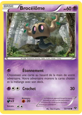 Brocélôme #54/146 — XY