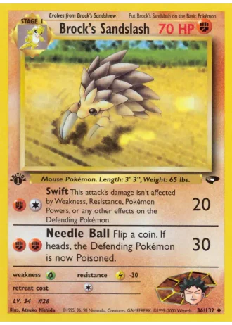 Brock's Sandslash #36 — Gym Challenge