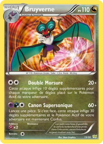 Bruyverne #13 — XY Kit du dresseur (Bruyverne)