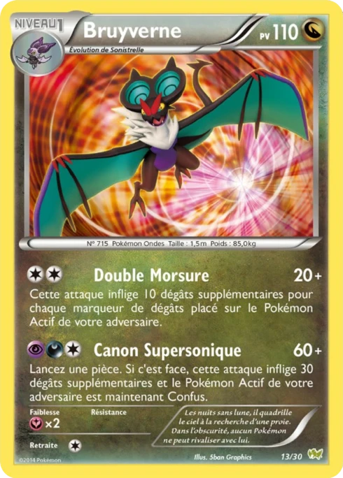 Bruyverne #13 — XY Kit du dresseur (Bruyverne)