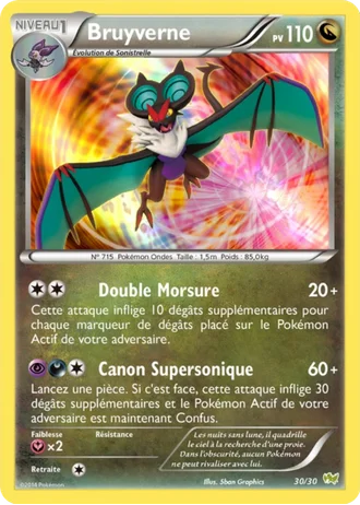 Bruyverne #30 — XY Kit du dresseur (Bruyverne)