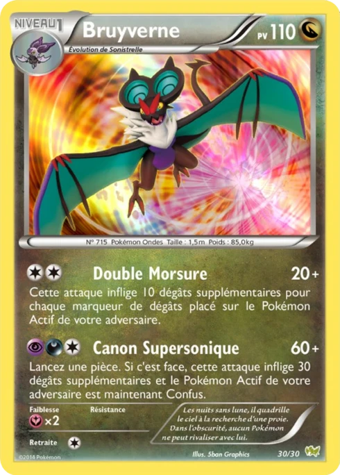 Bruyverne #30 — XY Kit du dresseur (Bruyverne)