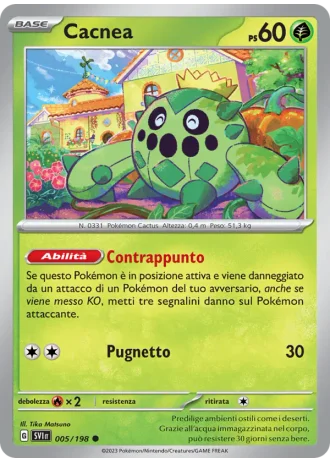 Cacnea #005 — Scarlatto e Violetto