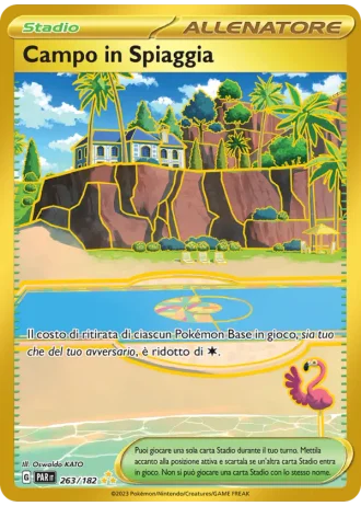 Campo in Spiaggia #263 — Paradosso Temporale