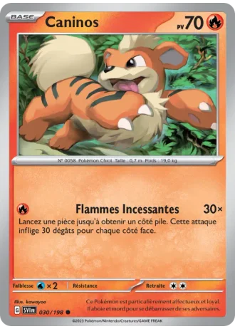 Caninos #030/198 — Écarlate et Violet