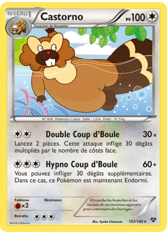 Castorno #107/146 — XY