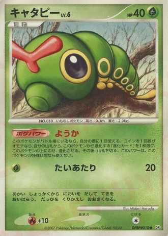Caterpie (1st Edition) — Dawn Dash (1st Edition)
