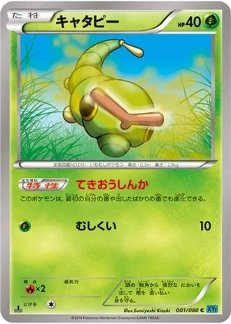 Caterpie (1st Edition) #1 — Wild Blaze (1st Edition)