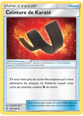 Ceinture de Karaté #201/236 — Harmonie des Esprits
