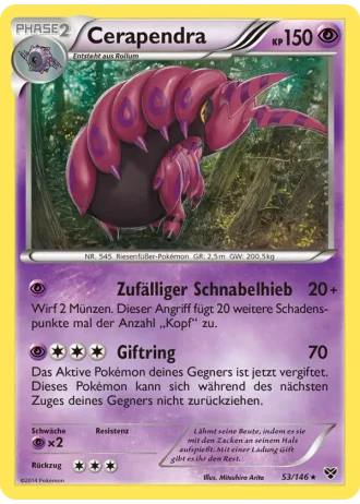 Cerapendra #53/146 — XY
