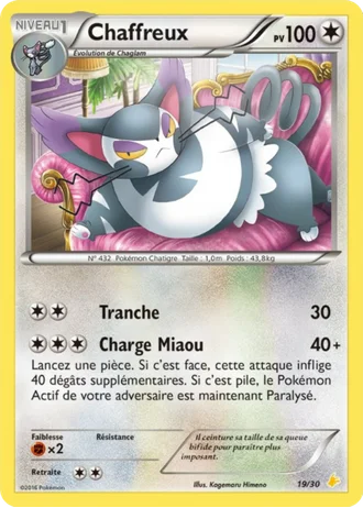 Chaffreux #19 — XY Kit du dresseur (Pikachu Libre)