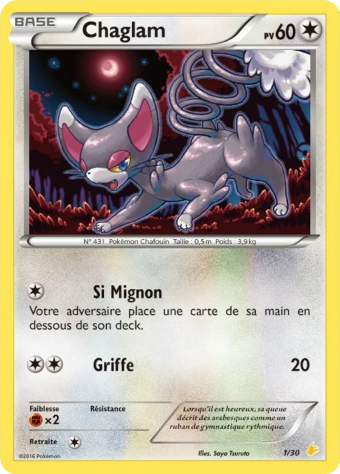 Chaglam #1 — XY Kit du dresseur (Pikachu Libre)