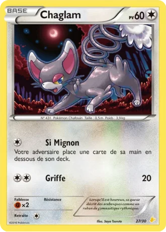 Chaglam #27 — XY Kit du dresseur (Pikachu Libre)