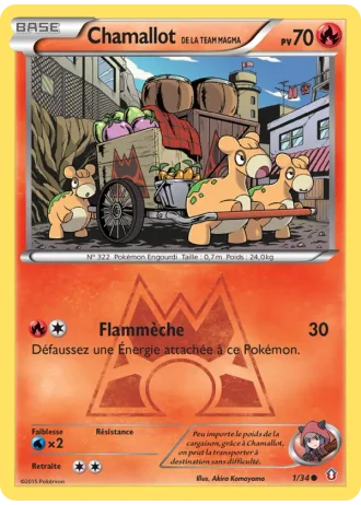 Chamallot de la Team Magma #1 — Double Danger