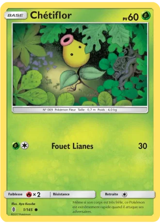 Chétiflor #1/145 — Gardiens Ascendants
