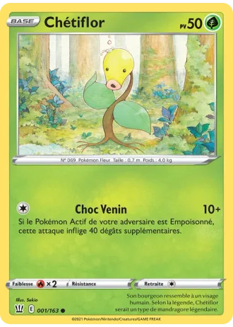 Chétiflor #1/163 — Styles de combat