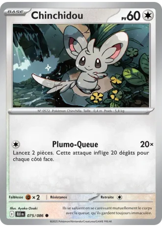 Chinchidou #075/86 — Foudre Noire