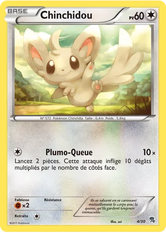 Chinchidou #4 — BW Kit du dresseur (Zoroark)