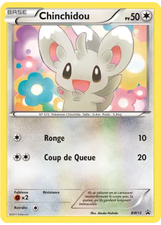 Chinchidou BW13 — Noir & Blanc Promos