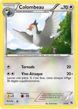 Colombeau #15 — BW Kit du dresseur (Zoroark)