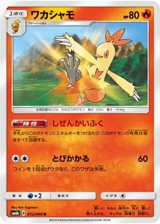Combusken #12 — Champion Road