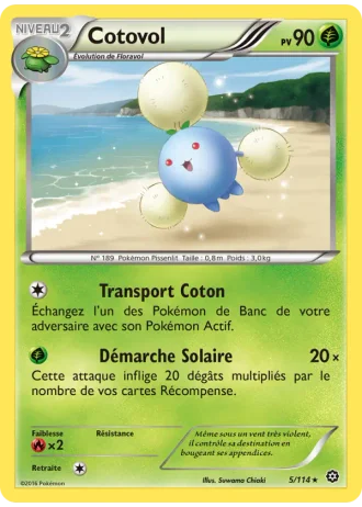 Cotovol #5 — Offensive Vapeur