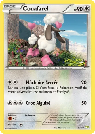 Couafarel #20 — XY Kit du dresseur (Bruyverne)
