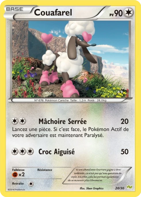 Couafarel #20 — XY Kit du dresseur (Bruyverne)