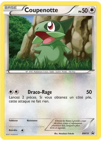 Coupenotte BW10 — Noir & Blanc Promos