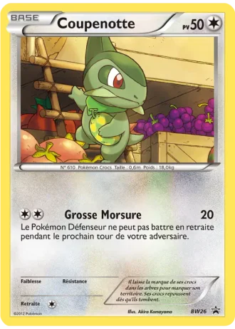 Coupenotte BW26 — Noir & Blanc Promos