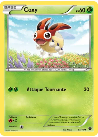 Coxy #6/146 — XY