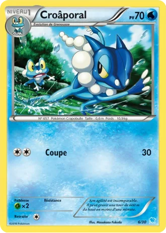 Croâporal #6 — XY Kit du dresseur (Suicune)