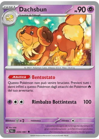 Dachsbun #039 — Destino di Paldea