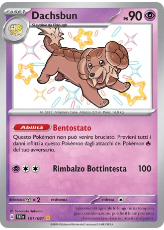Dachsbun #161 — Destino di Paldea