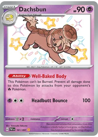 Dachsbun #161/91 — Paldean Fates
