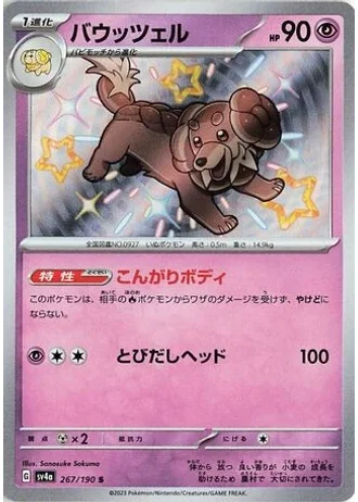 Dachsbun #267 — Shiny Treasure ex