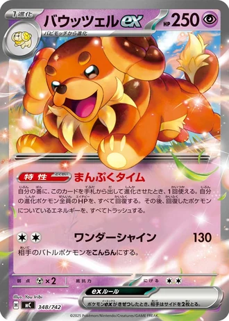 Dachsbun ex #348/742 — Start Deck 100 Battle Collection