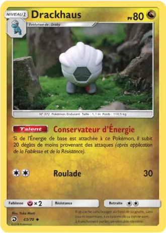 Drackhaus #43/70 — Majesté Des Dragons