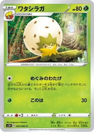 Eldegoss #5/60 — Shield