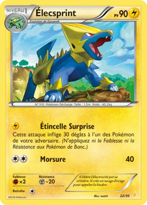Élecsprint #22 — XY Kit du dresseur (Pikachu Libre)