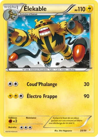 Élekable #25 — XY Kit du dresseur (Pikachu Libre)