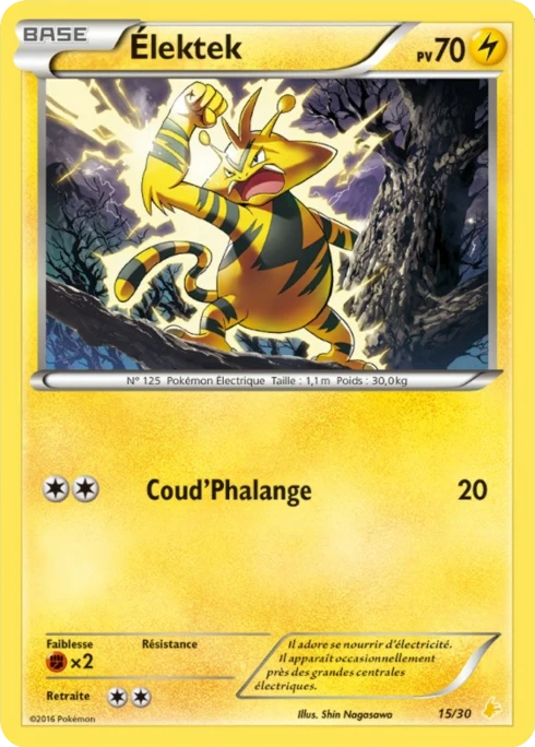 Élektek #15 — XY Kit du dresseur (Pikachu Libre)