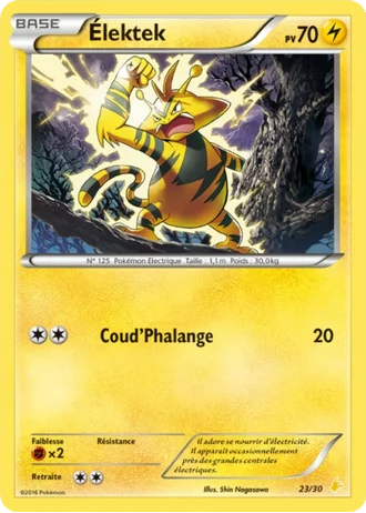 Élektek #23 — XY Kit du dresseur (Pikachu Libre)