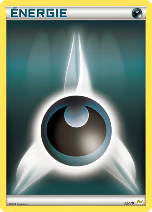 Énergie Obscurité #22 — XY Kit du dresseur (Bruyverne)