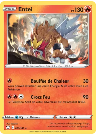 Entei #20 — Styles de combat