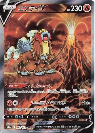 Entei V #213/172 — VSTAR Universe