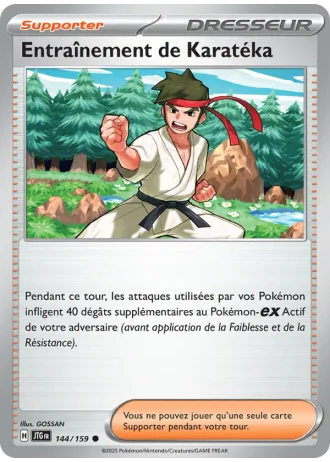 Entraînement de Karatéka #144/159 — Aventures Ensemble